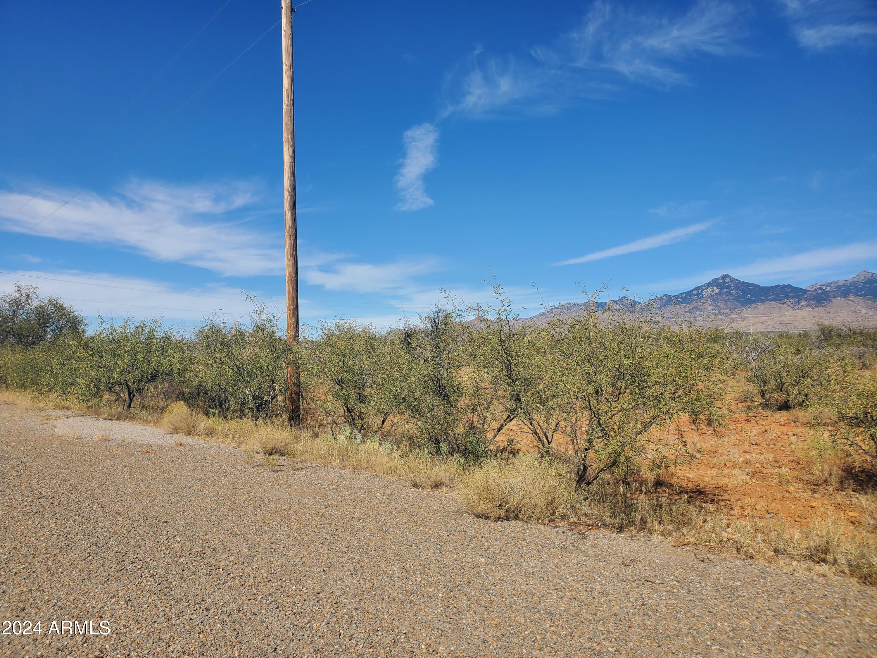 Land in Rio Rico