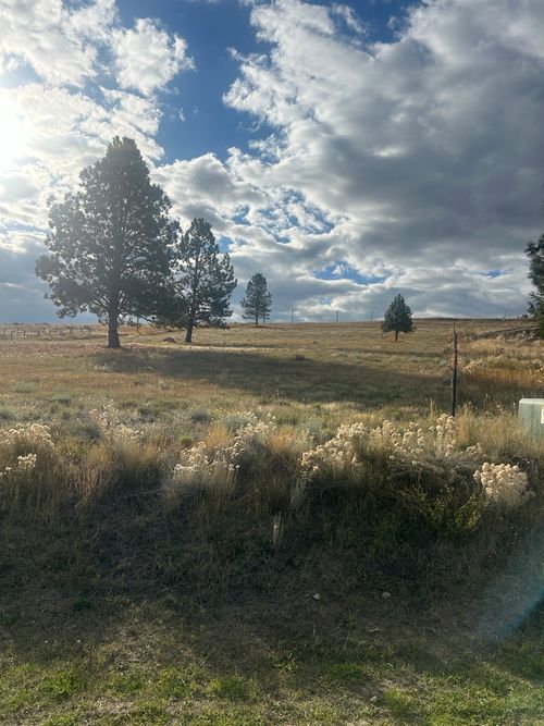 461 Arrow Hill Ranch Rd, Hamilton, MT, 59840 | Card Image