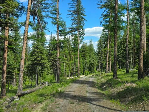 3007 S Placid View Place, Bonner, MT, 59823 | Card Image