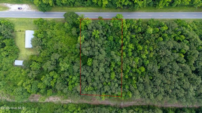 0000 Sam Potts Hwy, Home with 0 bedrooms, 0 bathrooms and null parking in Hallsboro NC | Image 5