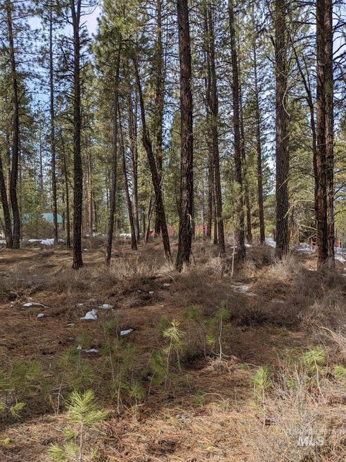 TBD View Dr, Idaho City, ID, 83631 | Card Image