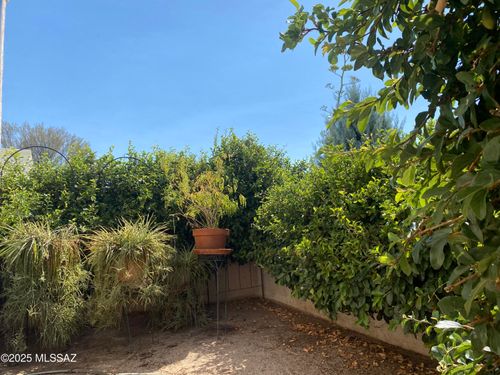 7921 N Casas Carmen, Tucson, AZ, 85742 | Card Image