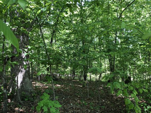 0 Devin Dr, Lawrenceburg, TN, 38464 | Card Image
