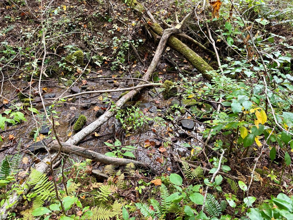 Land in Tuckasegee