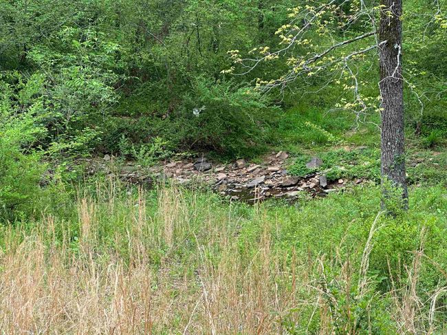 4090 Sunny Slope Rd, Home with 0 bedrooms, 0 bathrooms and null parking in Edgemont AR | Image 11