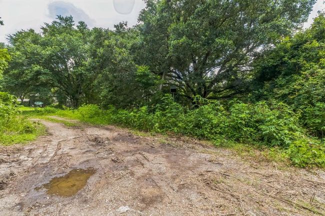 0 Davis Bend Rd, Home with 0 bedrooms, 0 bathrooms and null parking in Alvin TX | Image 30
