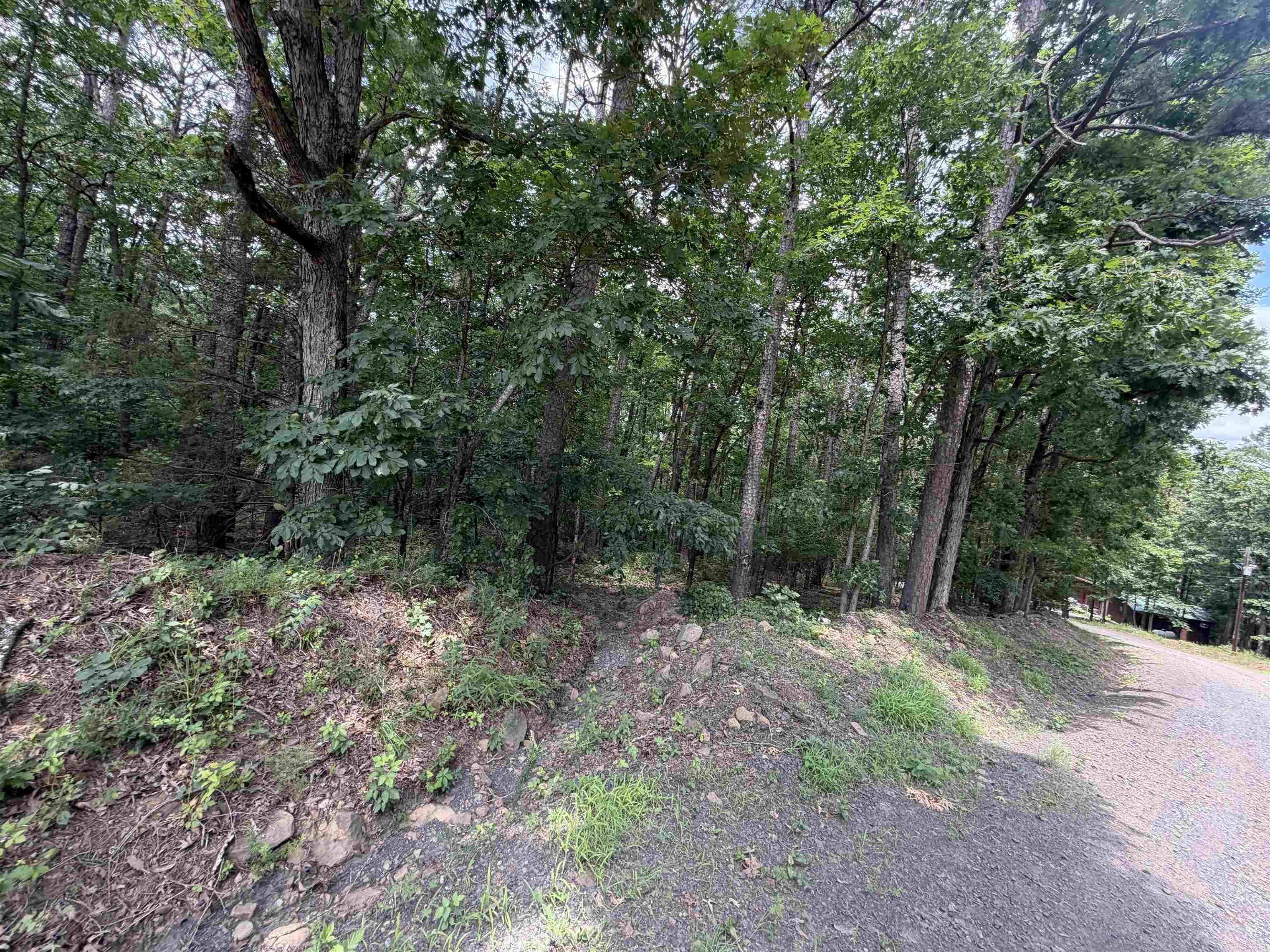 Land in Clinton 4
