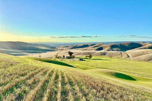 3780 S Gillis Canyon Rd, Shandon, CA, 93461 | Card Image