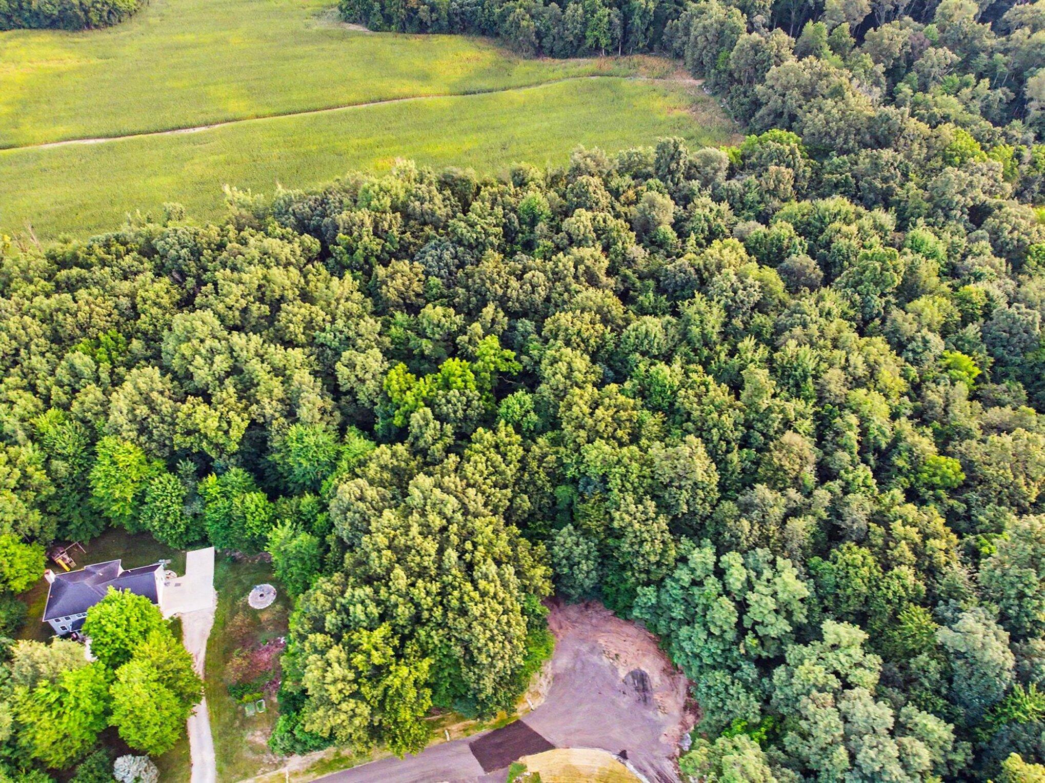 Land in Niles 2