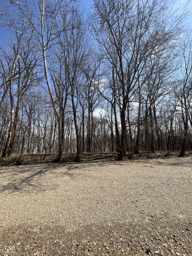 0 River Road Dr, Home with 0 bedrooms, 0 bathrooms and null parking in Columbus IN | Image 13