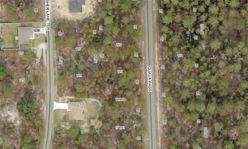 10 Guava Pass, Ocklawaha, FL, 32179-5552 | Card Image