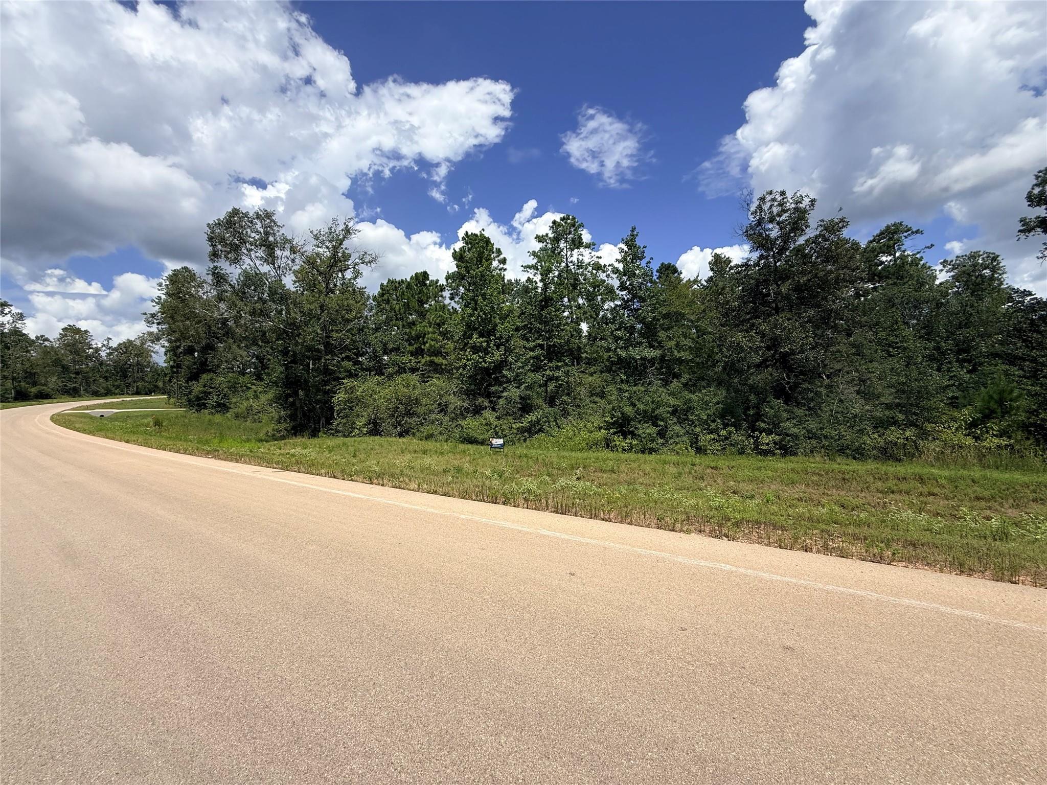 Land in Willis 4