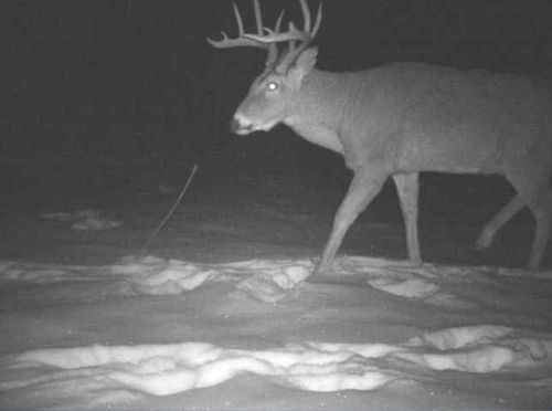 27262 151st Ave, Bagley, MN, 56621-4380 | Card Image