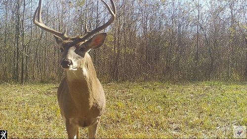 0 County Road 3302, De Kalb, TX, 75559 | Card Image