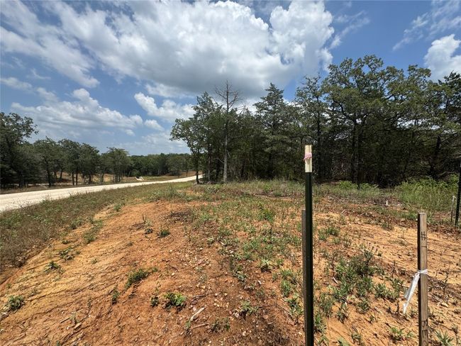 View of yard featuring a forest view | Image 7