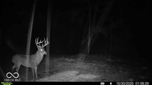 6870 Taylor Rd, Rising Sun, IN, 47040-9042 | Card Image