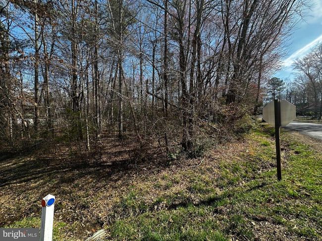 4500 Lakeview Pkwy, Home with 0 bedrooms, 0 bathrooms and null parking in Locust Grove VA | Image 5