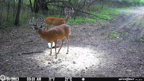 TBD Clayton Ave, Mount Pleasant, IA, 52641 | Card Image