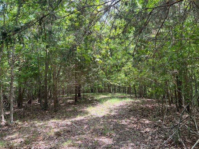 B - 00 Quarter Round Rd, Home with 0 bedrooms, 0 bathrooms and null parking in pacolet SC | Image 16