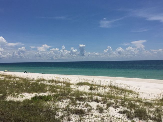 7011 Windward St, House other with 3 bedrooms, 3 bathrooms and 5 parking in Cape San Blas FL | Image 36
