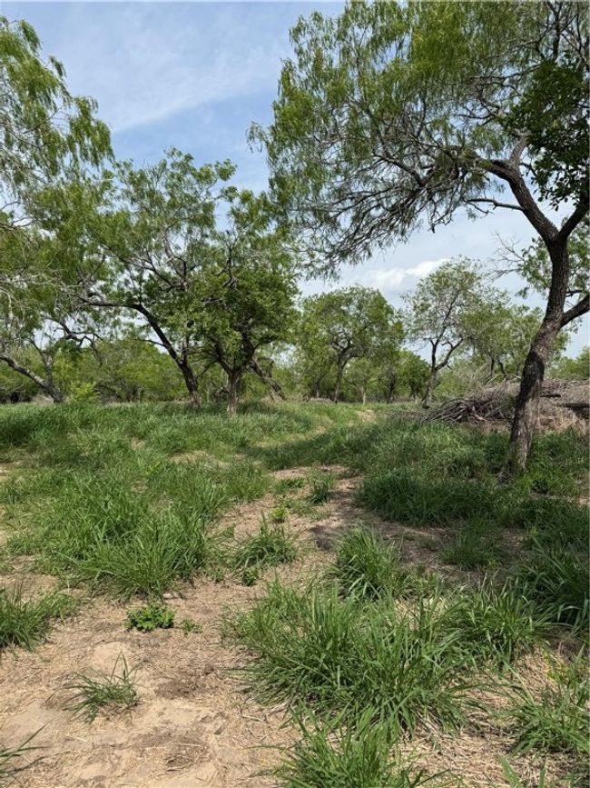 5525 Ravine Rd, Home with 0 bedrooms, 0 bathrooms and null parking in Robstown TX | Image 5