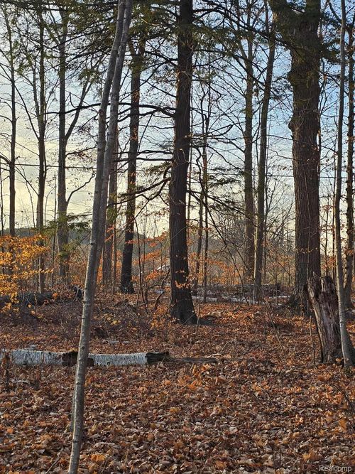 00 Lakeshore Rd, Deckerville, MI, 48427 | Card Image