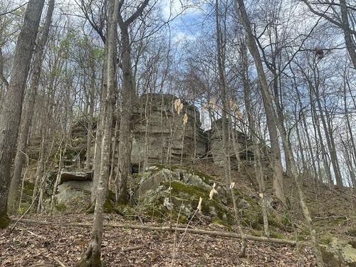 Lot 84 Buckeye Ln, Wilder, TN, 38589 | Card Image
