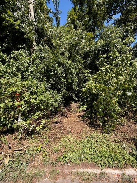 Land in Asheville 4