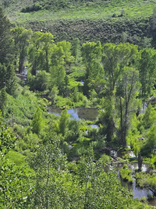 89-6621 Middle Fork Dr, Huntsville, UT, 84317 | Card Image