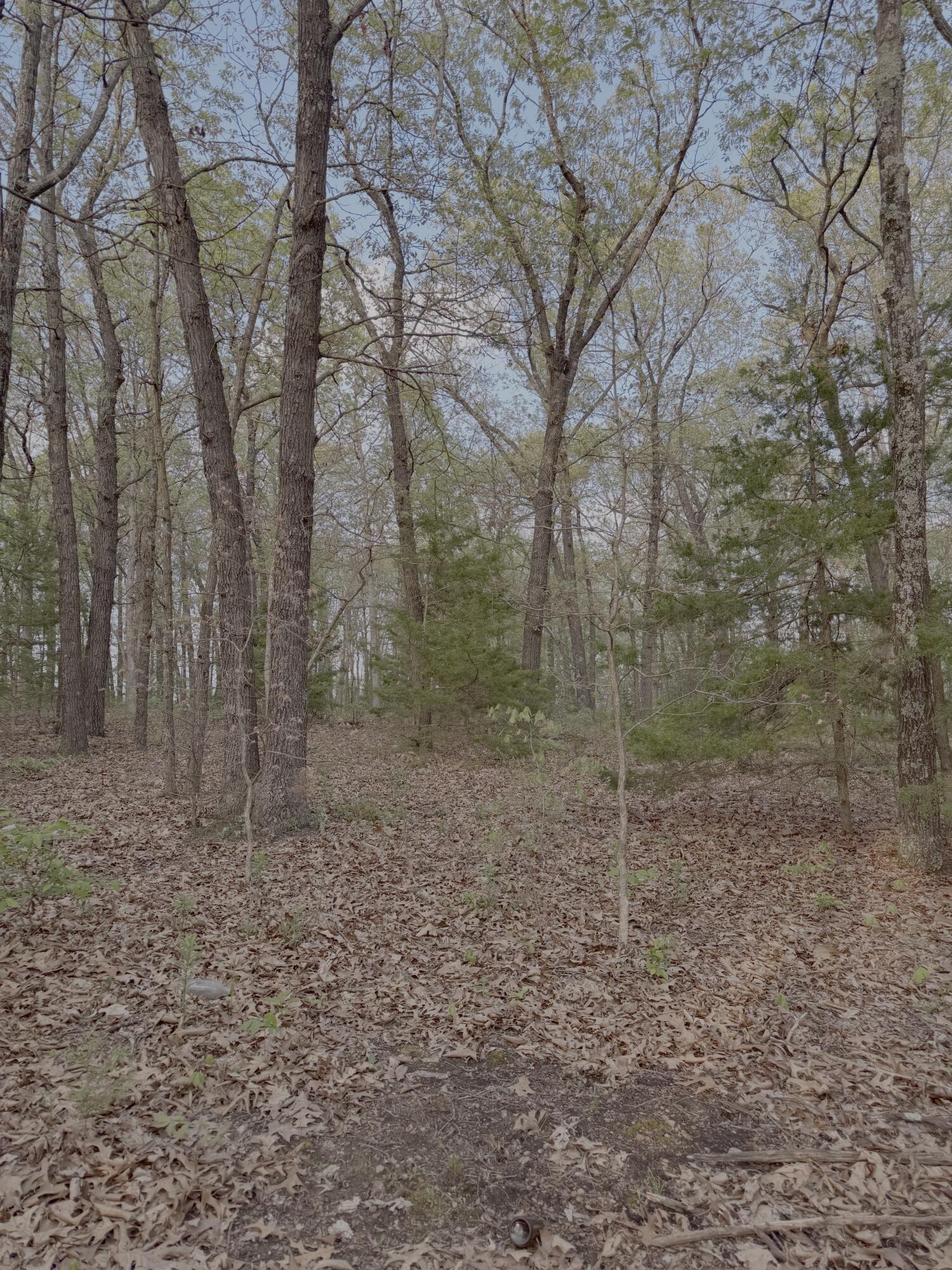 Land in Humansville 4