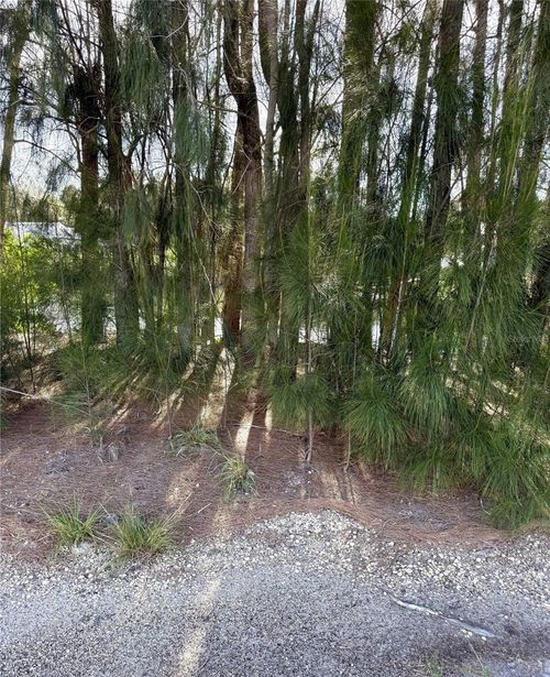 0 Jills Ln, Aripeka, FL, 34679 | Card Image