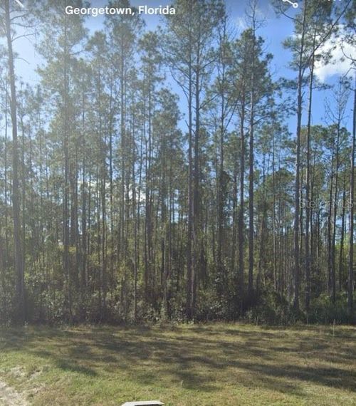 125 Pine Cone Dr, Georgetown, FL, 32139-2315 | Card Image