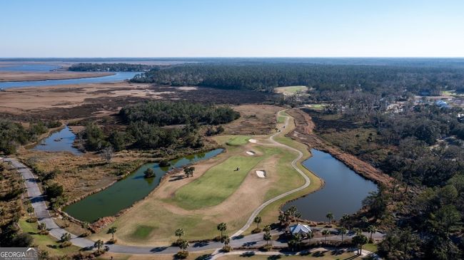 V/L 48 Sanctuary Cove No Street Suffix, Home with 0 bedrooms, 0 bathrooms and null parking in Waverly GA | Image 6