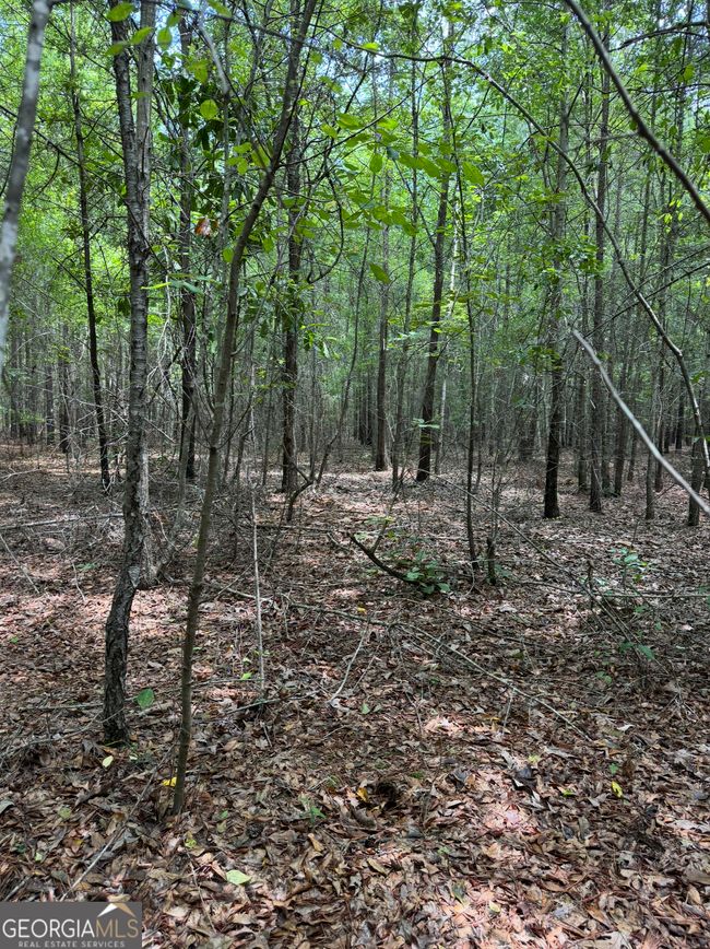 0 Tobias Rd, Home with 0 bedrooms, 0 bathrooms and null parking in Sardis GA | Image 8
