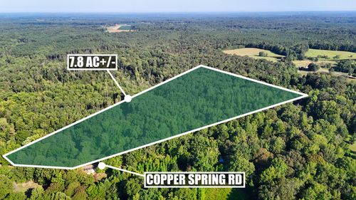 32 Copper Spring Rd, Springville, TN, 38256-5432 | Card Image