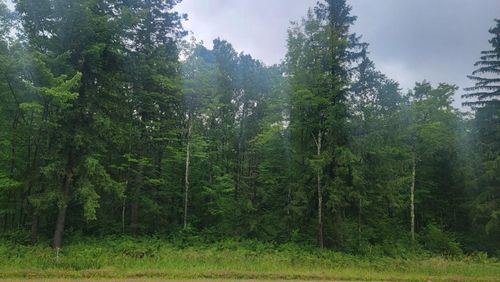 N4651 Pennington Rd, Prentice, WI, 54556-9360 | Card Image