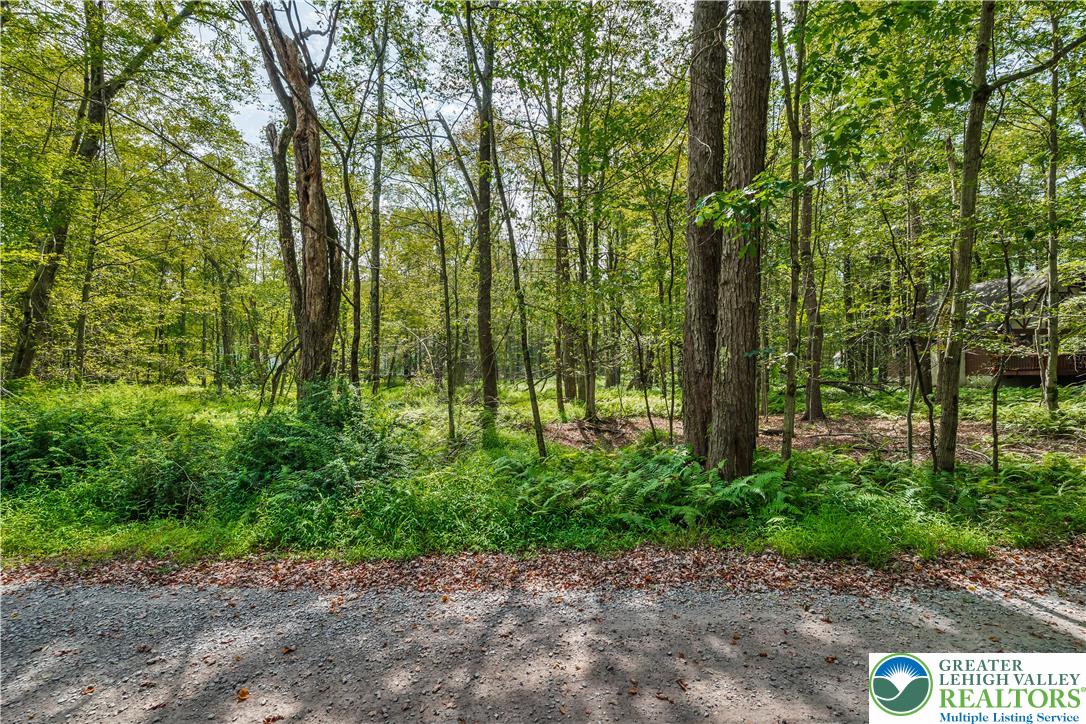 Land in Coolbaugh Twp 3