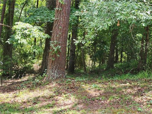 3833 Springhill Dr, Tuscaloosa, AL, 35405-4726 | Card Image