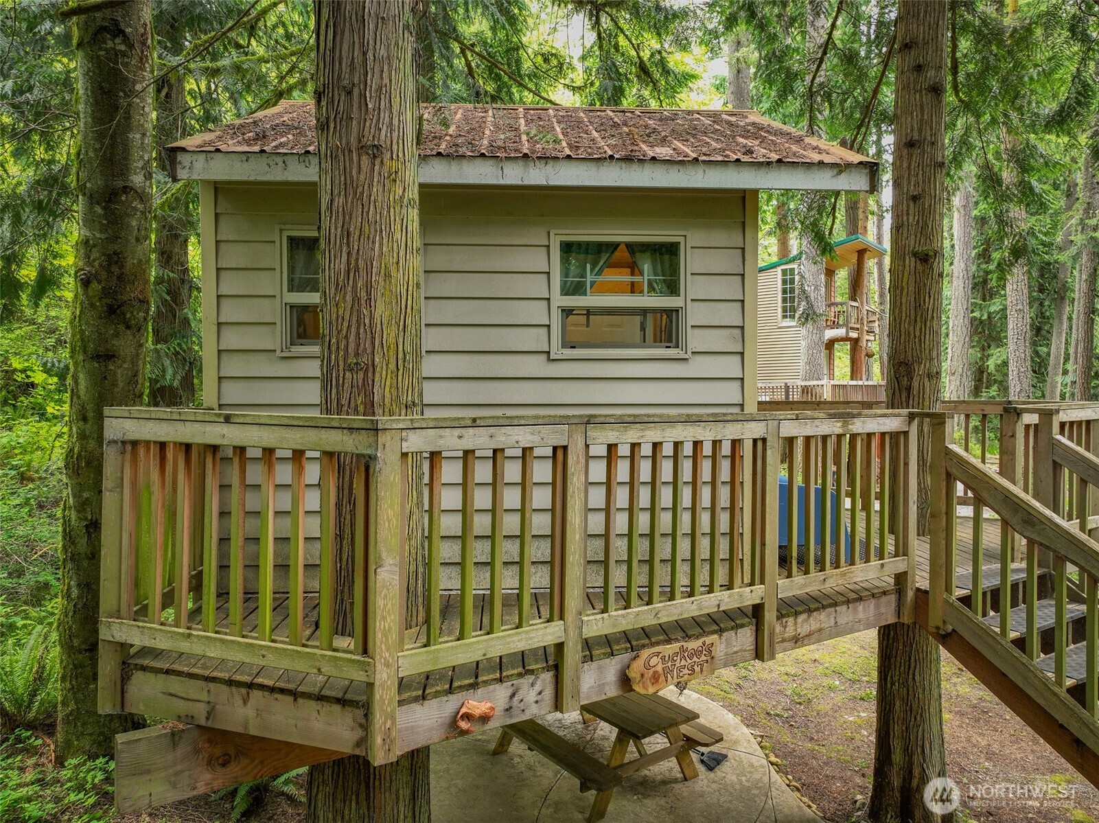 Land in Rainier 5