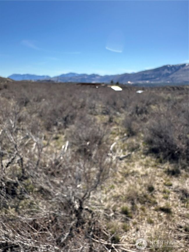 81 W Chewuch Rd, Home with 0 bedrooms, 0 bathrooms and null parking in Winthrop WA | Image 20