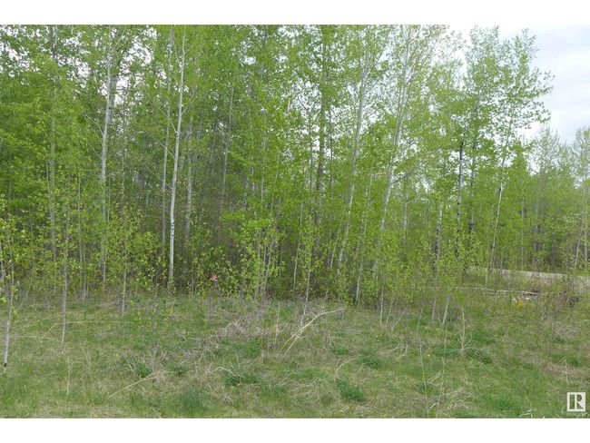 11032 Highway 13, Home with 0 bedrooms, 0 bathrooms and null parking in Westerose AB | Image 5