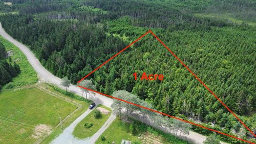 Lot Salmon River Road, L'ardoise, NS, B0E1S0 | Card Image