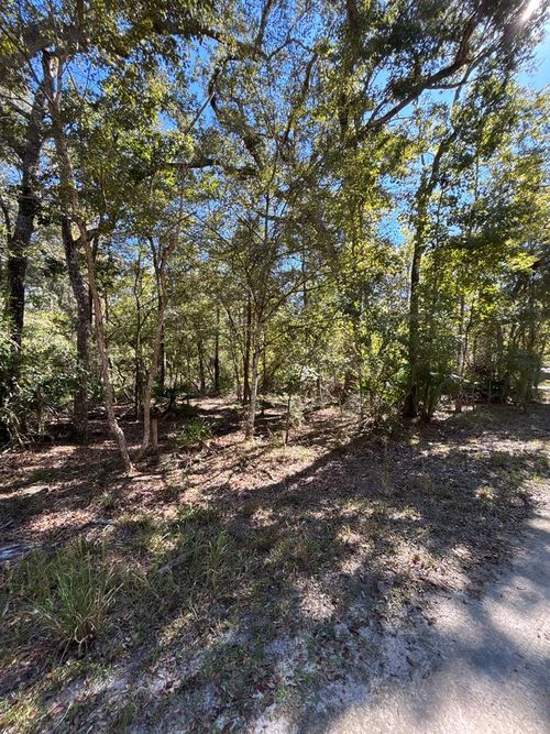 Lot 1 Se 843rd St, Old Town, FL, 32680-4527 | Card Image