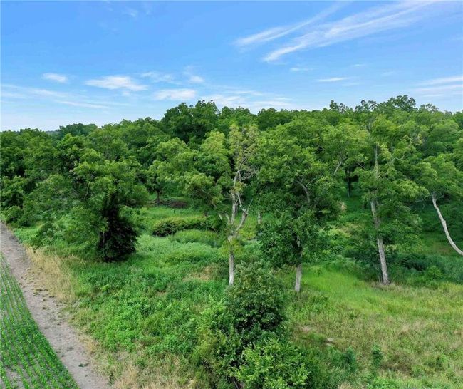 View of tree filled area | Image 6