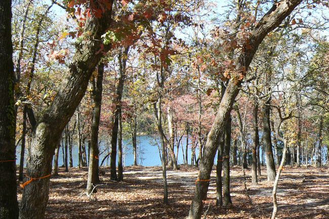 9122 Safari Blf, Home with 0 bedrooms, 0 bathrooms and null parking in Larue TX | Image 5