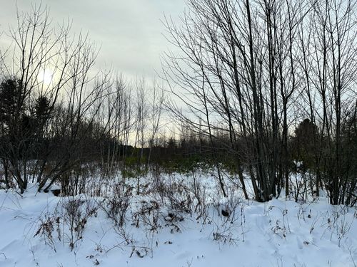 239 Bolsters Mills Road, Harrison, ME, 04040 | Card Image