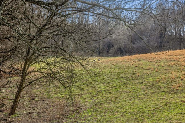 0 Fishing Ford Rd, Home with 0 bedrooms, 0 bathrooms and null parking in Belfast TN | Image 14
