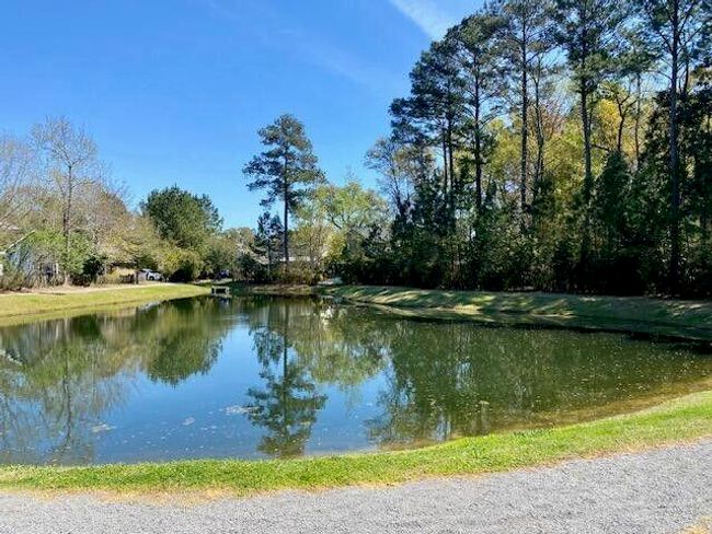 Pond | Image 32
