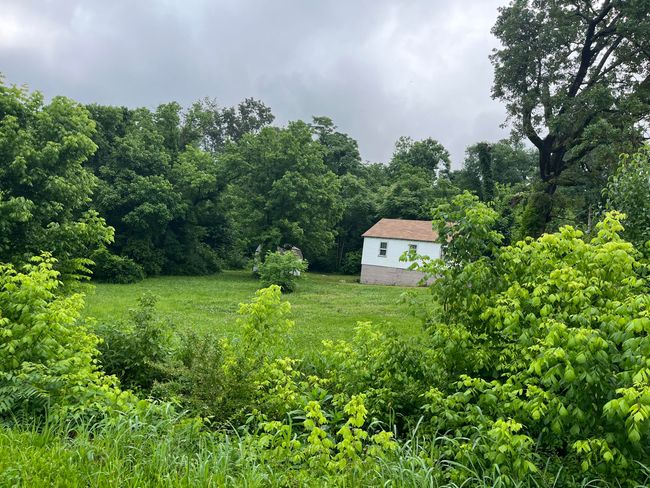 Lot in Thayer, MO 5 | Image 6