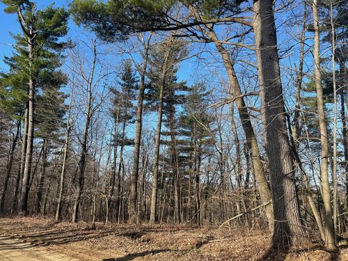 6 297th St, EAU GALLE, WI, 54737 | Card Image